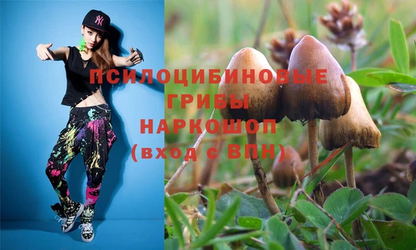 каннабис Няндома