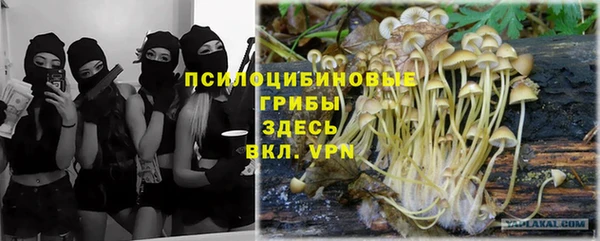 каннабис Няндома