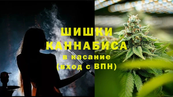 молекула духа Новокубанск