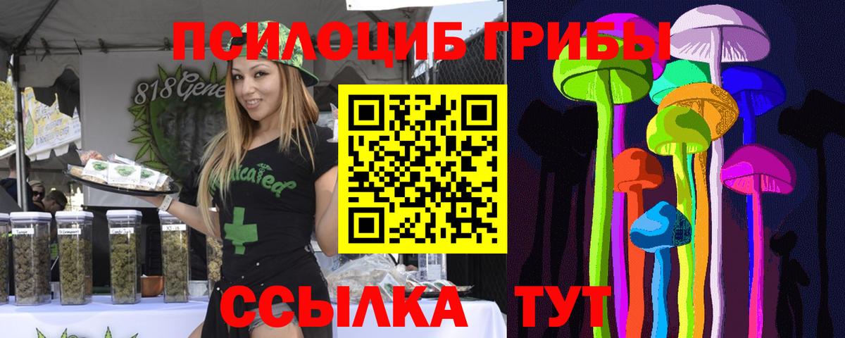 Братск  Псилоцибиновые грибы ЛСД  Вход с VPN 