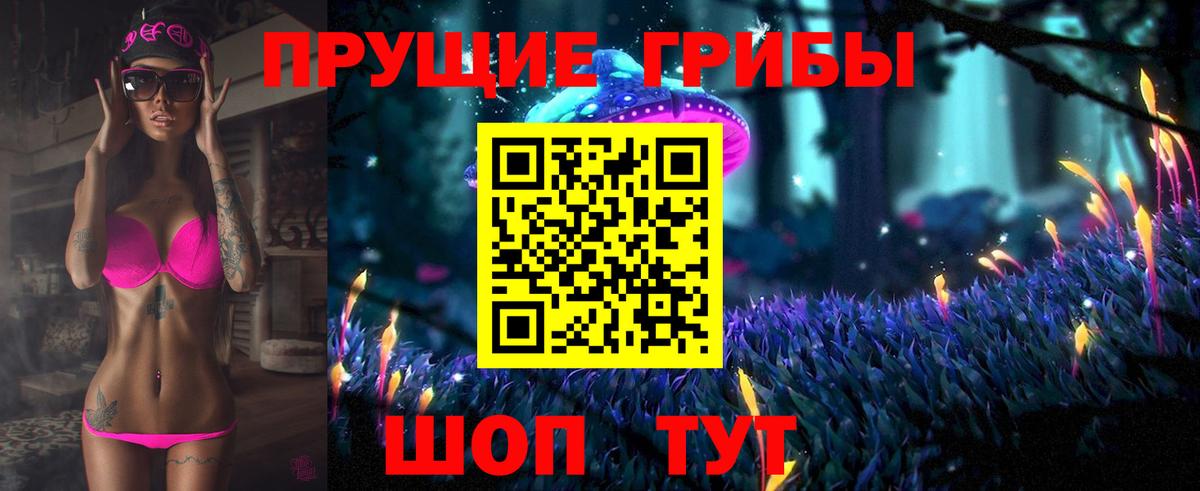 Псилоцибиновые грибы GOLDEN TEACHER Братск